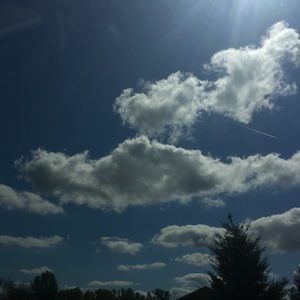 Meet your Posher, Jess